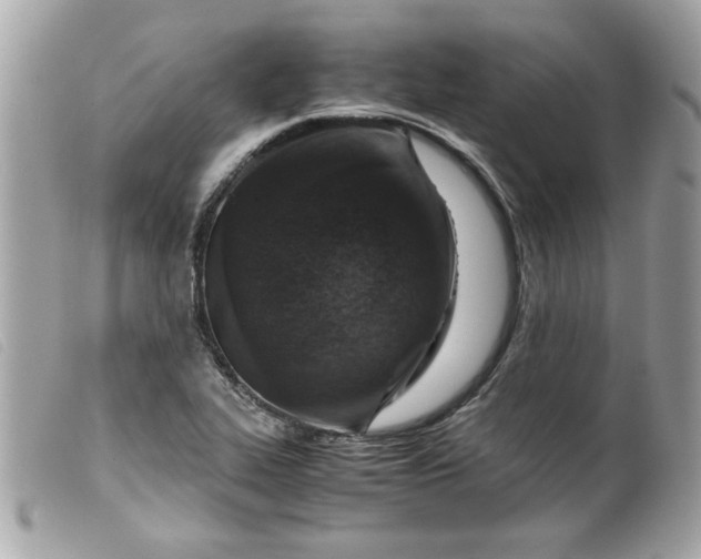 X0000099531319200805301431