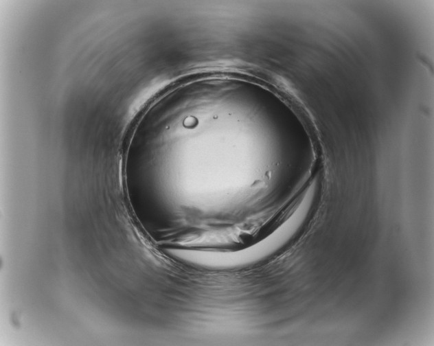 X0000099531320200805301431