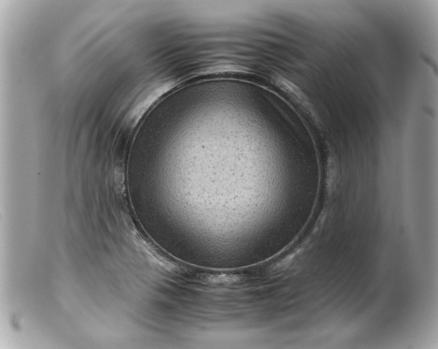 X0000099531321200805301431