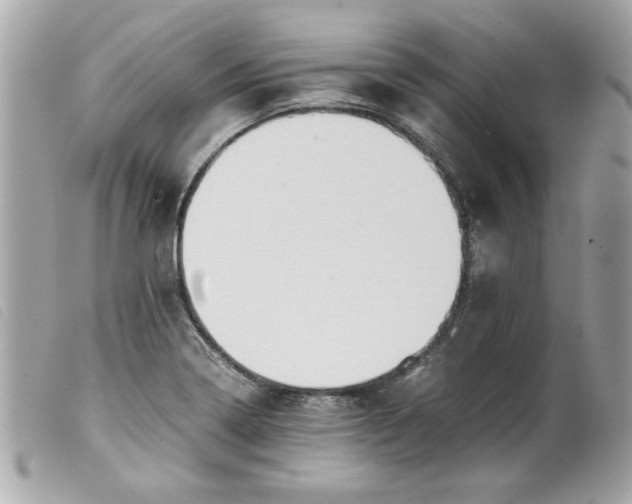 X0000099531322200805301431