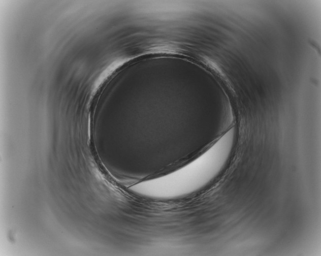 X0000099531323200805301432