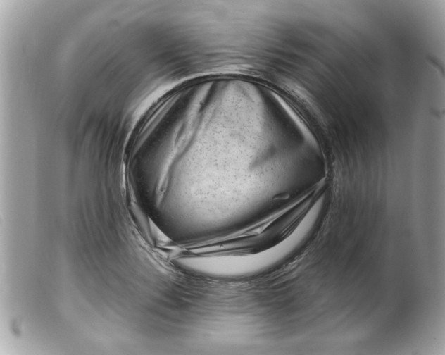 X0000099531324200805301432