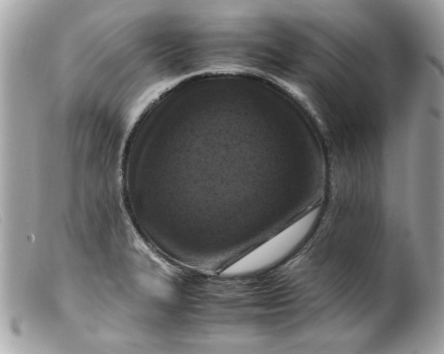 X0000099531327200805301432