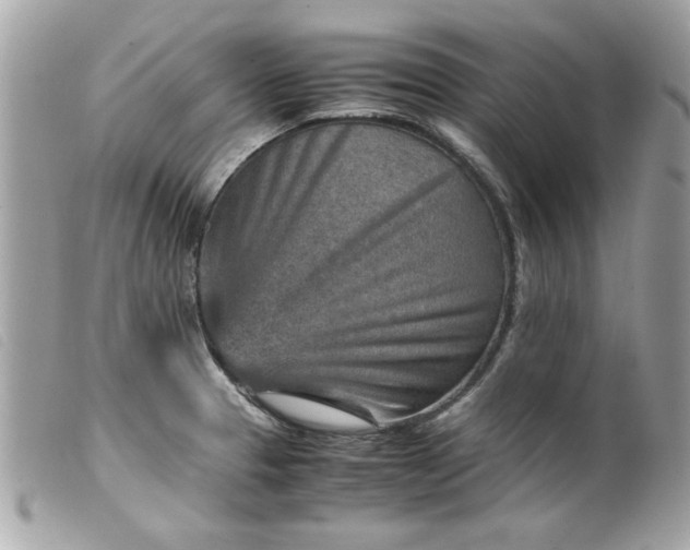 X0000099531329200805301432