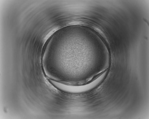 X0000099531330200805301432
