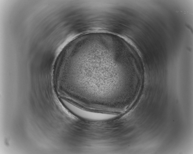 X0000099531333200805301432
