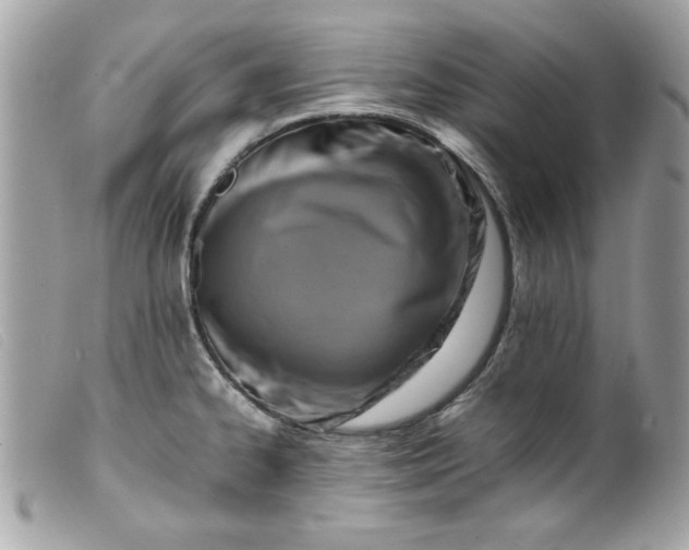 X0000099531334200805301432
