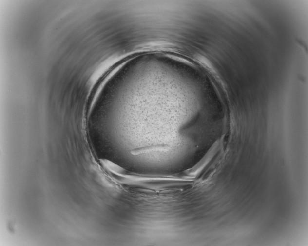 X0000099531336200805301432
