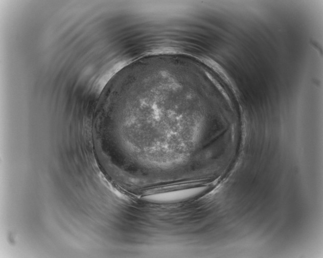 X0000099531337200805301432