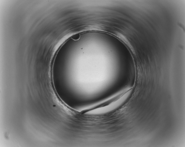 X0000099531339200805301432