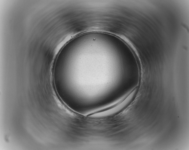 X0000099531341200805301432