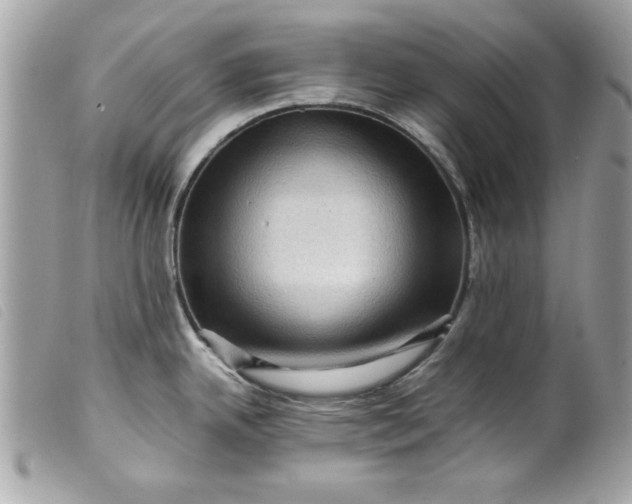 X0000099531342200805301432