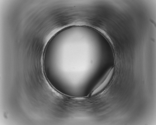 X0000099531343200805301432