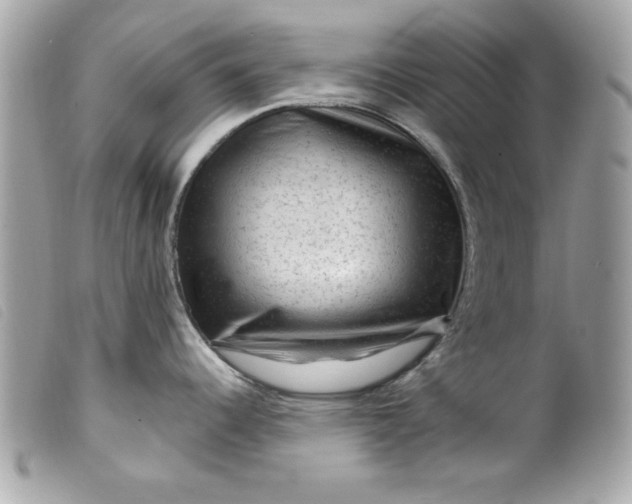 X0000099531344200805301432