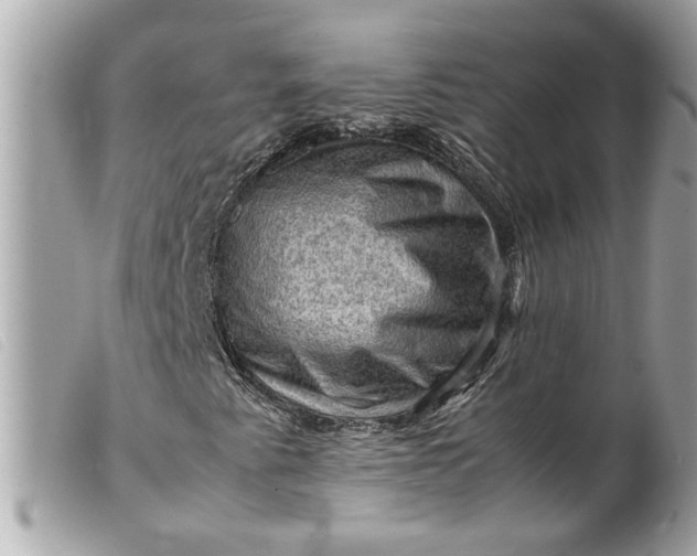 X0000099531345200805301431