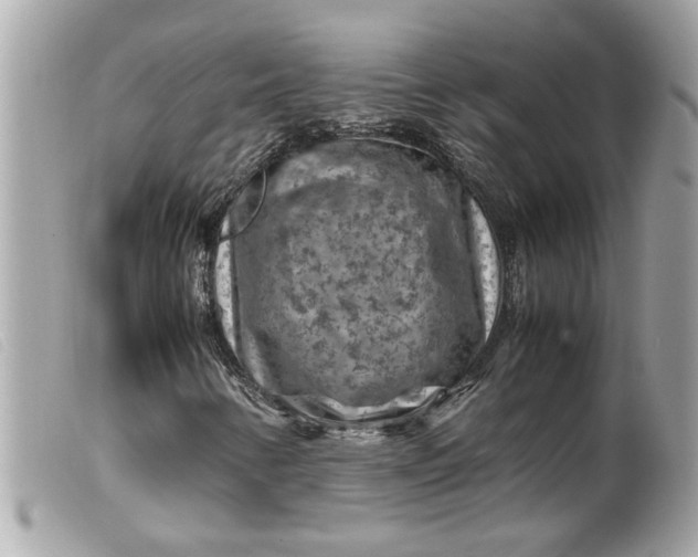 X0000099531346200805301431