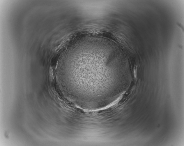 X0000099531347200805301431
