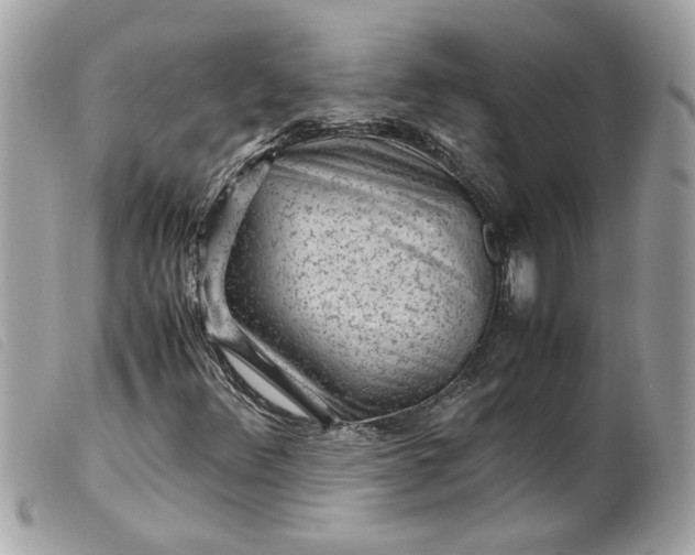 X0000099531348200805301431