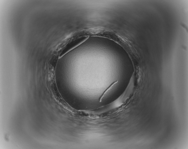 X0000099531349200805301431