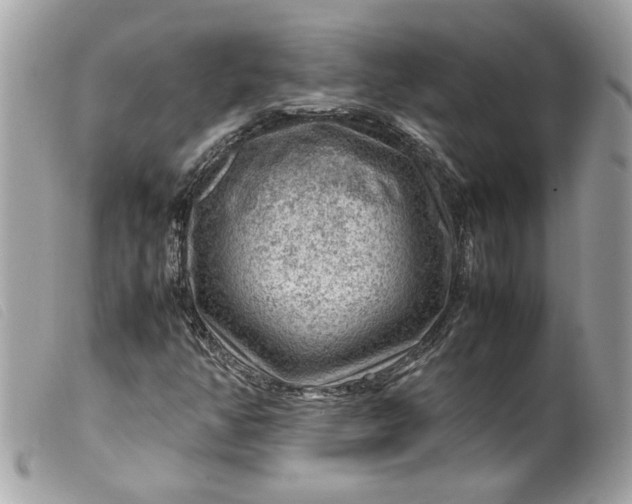 X0000099531350200805301431