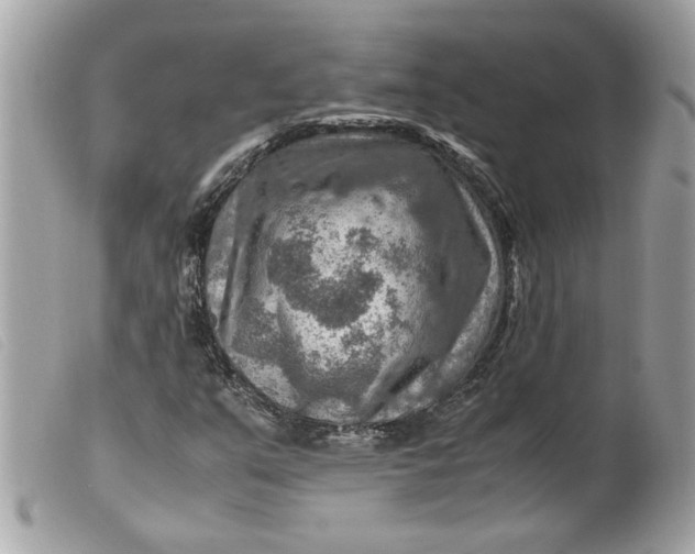 X0000099531351200805301431