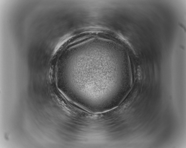 X0000099531352200805301431