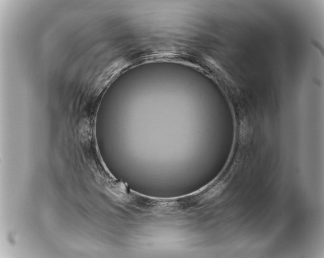 X0000099531353200805301431