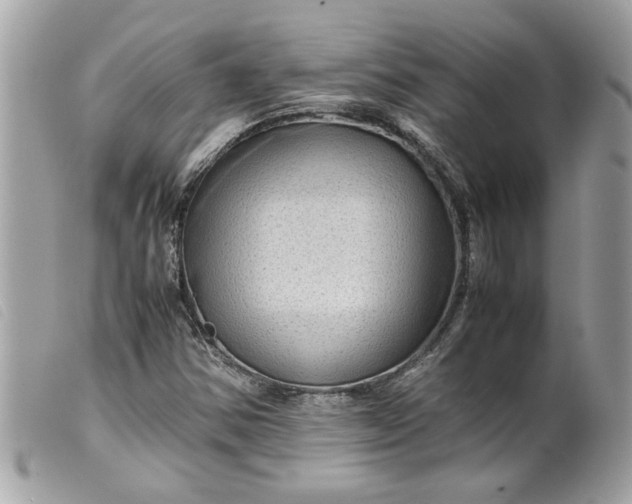 X0000099531354200805301431