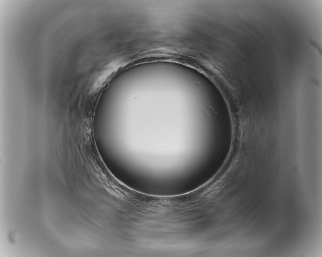 X0000099531355200805301431