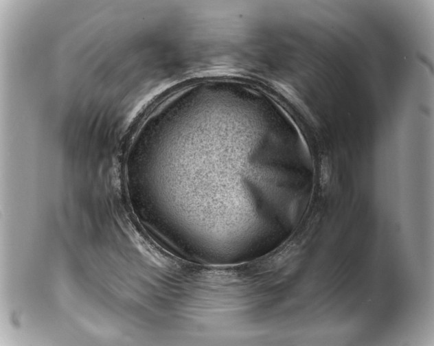 X0000099531356200805301431