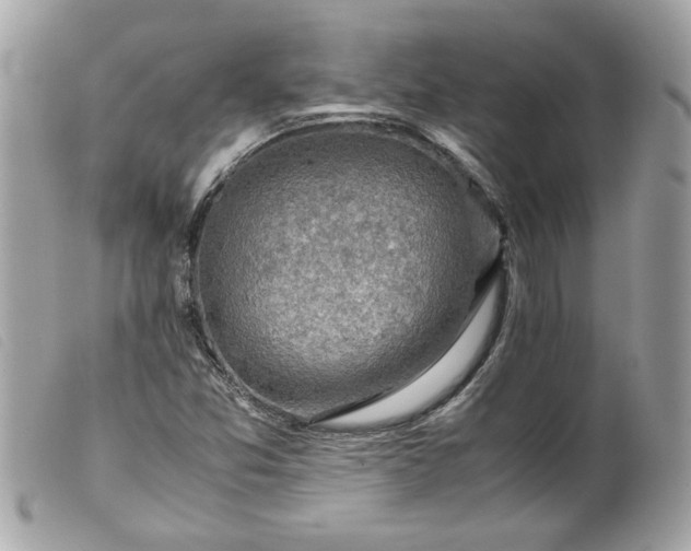 X0000099531357200805301431