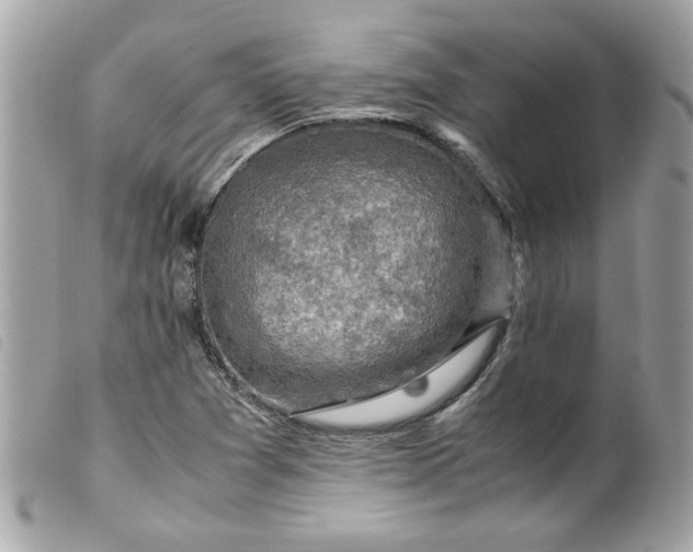 X0000099531361200805301431