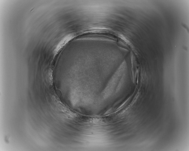X0000099531362200805301431