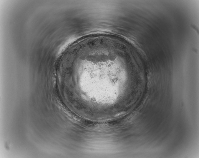 X0000099531363200805301431