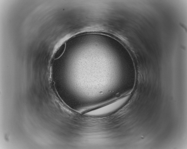 X0000099531366200805301431