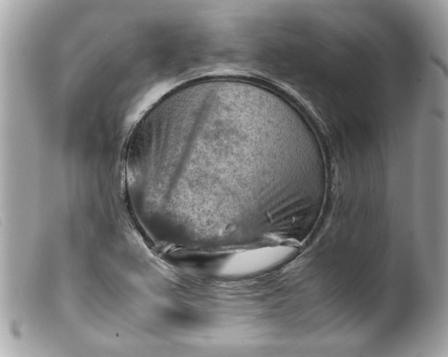 X0000099531367200805301431