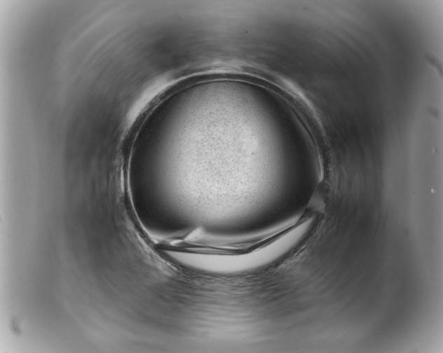 X0000099531368200805301431