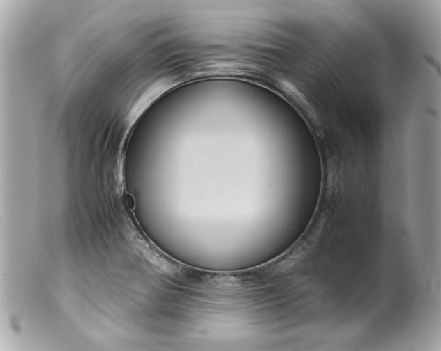 X0000099531370200805301431