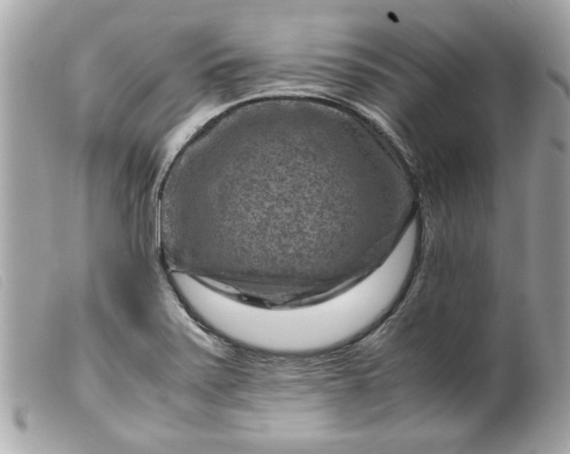 X0000099531371200805301431