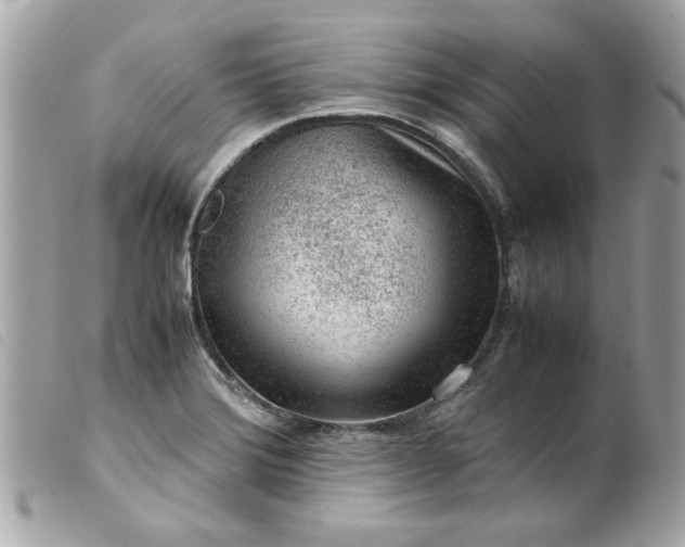 X0000099531372200805301431