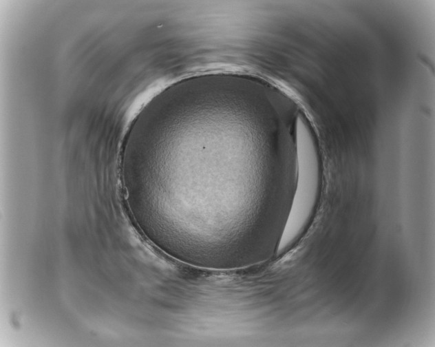 X0000099531373200805301431