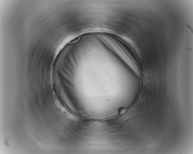 X0000099531374200805301431