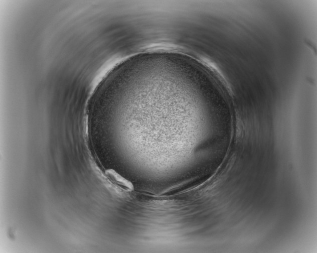 X0000099531376200805301431
