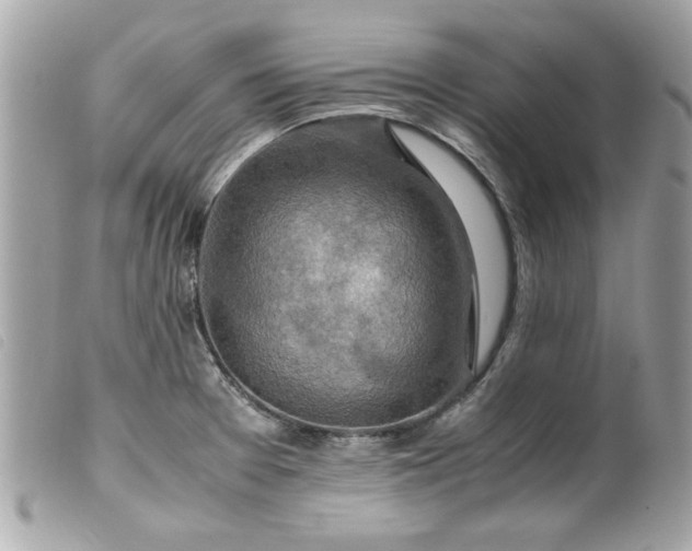 X0000099531377200805301431