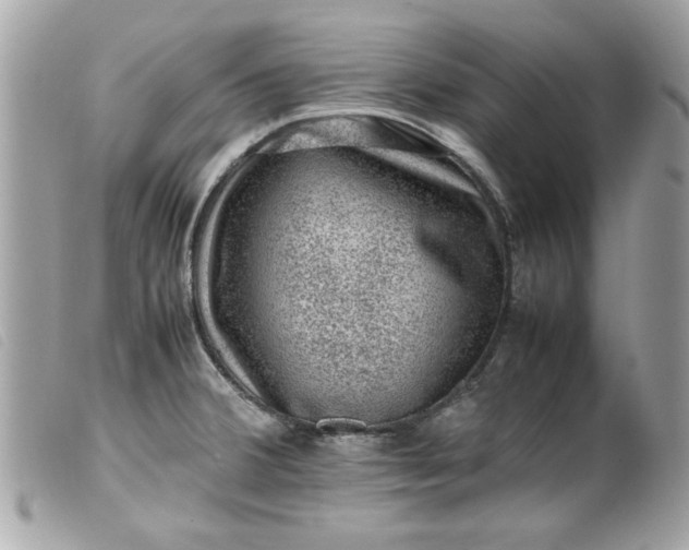 X0000099531380200805301431