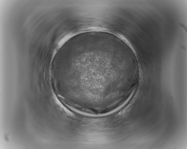 X0000099531381200805301431