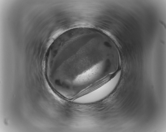 X0000099531383200805301430