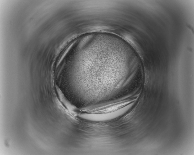 X0000099531384200805301430
