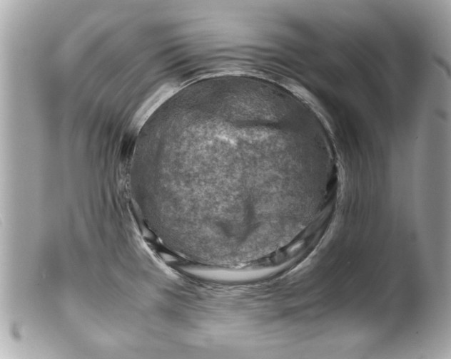 X0000099531385200805301430