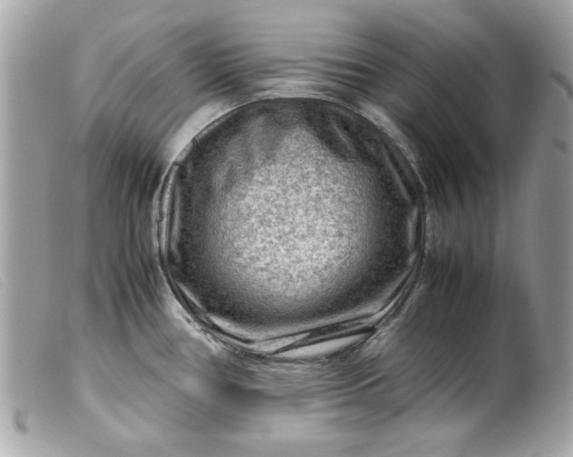 X0000099531386200805301430